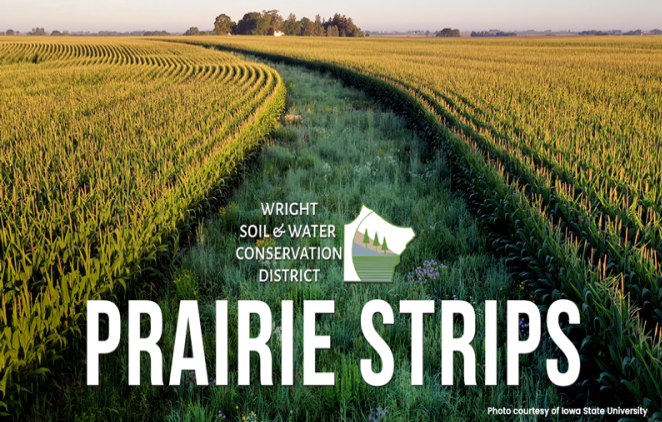 prairie-strips=photo